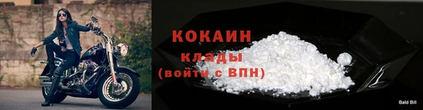 ПСИЛОЦИБИНОВЫЕ ГРИБЫ Козельск