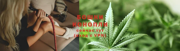 ПСИЛОЦИБИНОВЫЕ ГРИБЫ Козельск