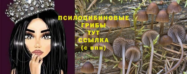 ПСИЛОЦИБИНОВЫЕ ГРИБЫ Козельск
