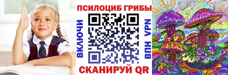 МЕГА ТОР  Тында  Галлюциногенные грибы Magic Shrooms 