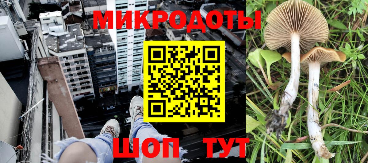 Тында  Галлюциногенные грибы GOLDEN TEACHER  где продают наркотики  Вход с VPN 
