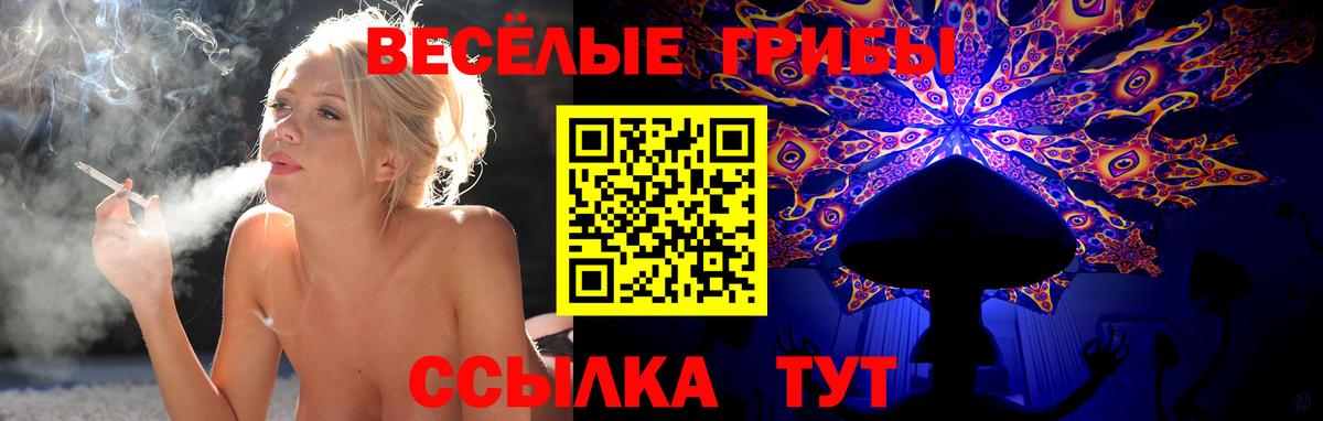 Галлюциногенные грибы Cubensis Тында