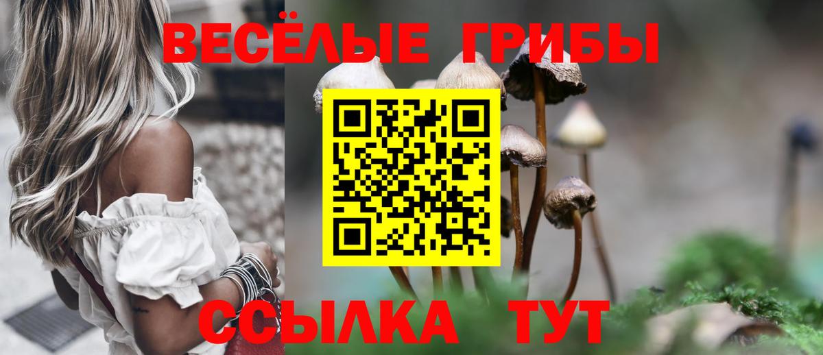 Псилоцибиновые грибы прущие грибы  Тында 